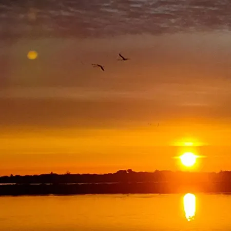 Millesime 5303 : Vue Magnifique, Spacieux, Sur Le Port Avec Parking * Marseillan (Herault)